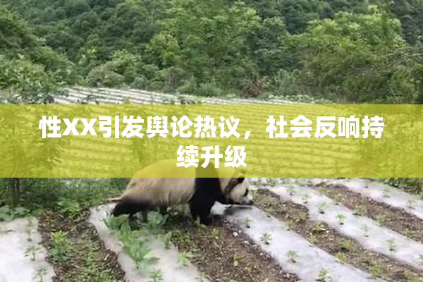 性XX引发舆论热议，社会反响持续升级