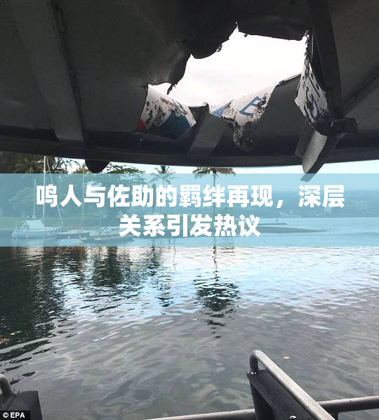 鸣人与佐助的羁绊再现，深层关系引发热议