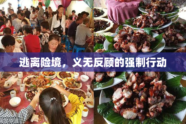 逃离险境，义无反顾的强制行动