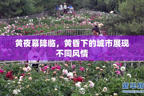 黄夜幕降临，黄昏下的城市展现不同风情