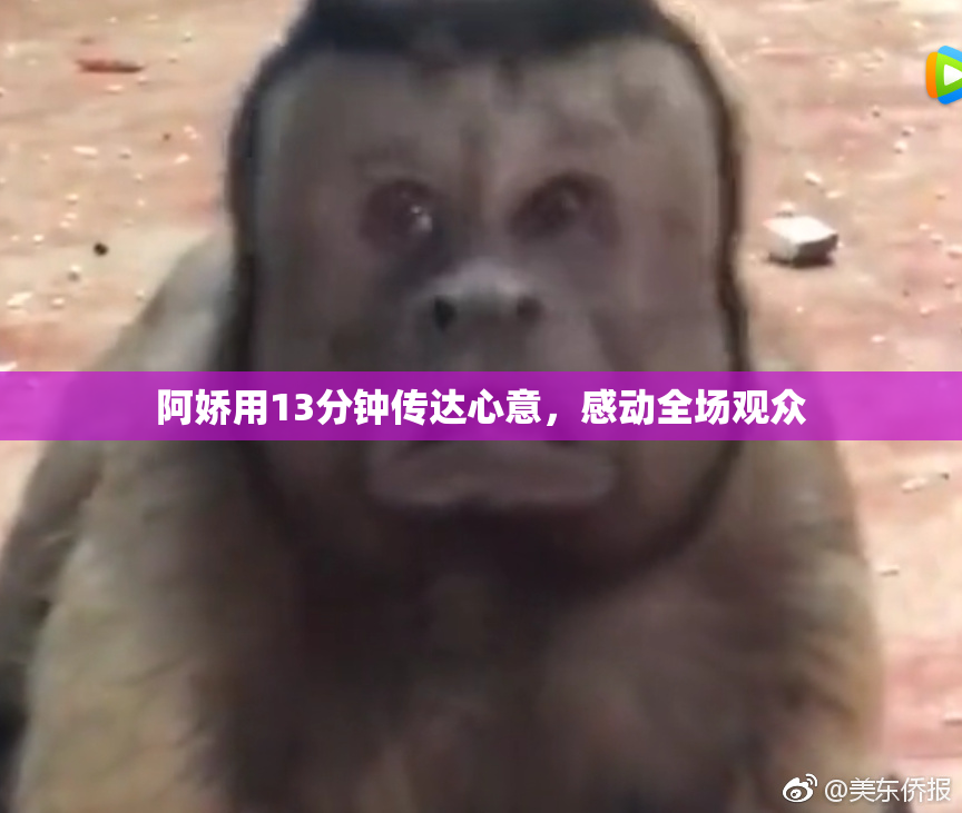 阿娇用13分钟传达心意，感动全场观众