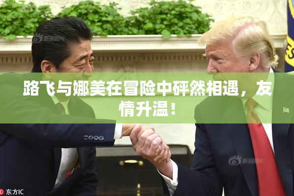 路飞与娜美在冒险中砰然相遇，友情升温！