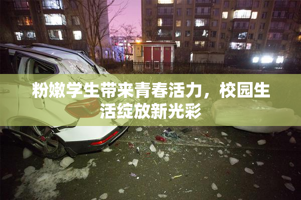 粉嫩学生带来青春活力，校园生活绽放新光彩