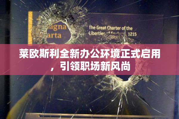 莱欧斯利全新办公环境正式启用，引领职场新风尚