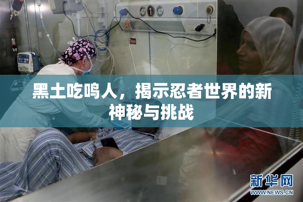 黑土吃鸣人，揭示忍者世界的新神秘与挑战