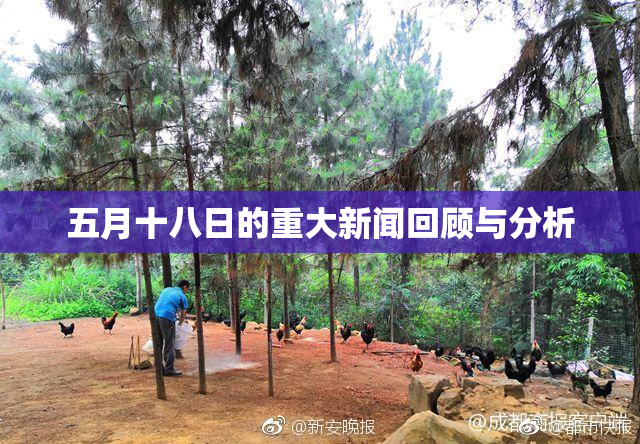 五月十八日的重大新闻回顾与分析