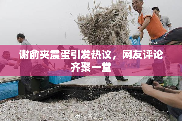 谢俞夹震蛋引发热议，网友评论齐聚一堂