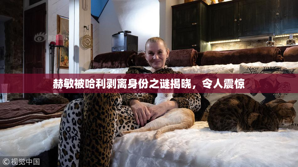 赫敏被哈利剥离身份之谜揭晓，令人震惊
