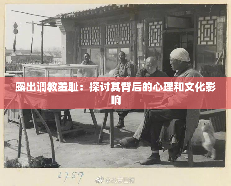 露出调教羞耻：探讨其背后的心理和文化影响