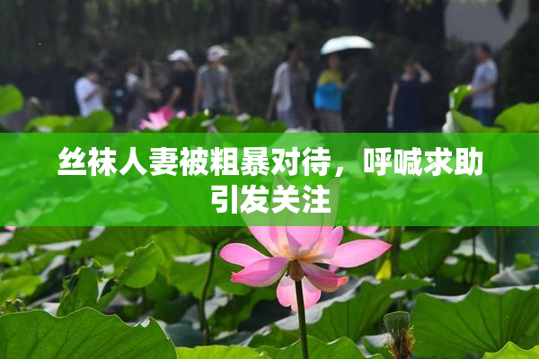 丝袜人妻被粗暴对待，呼喊求助引发关注