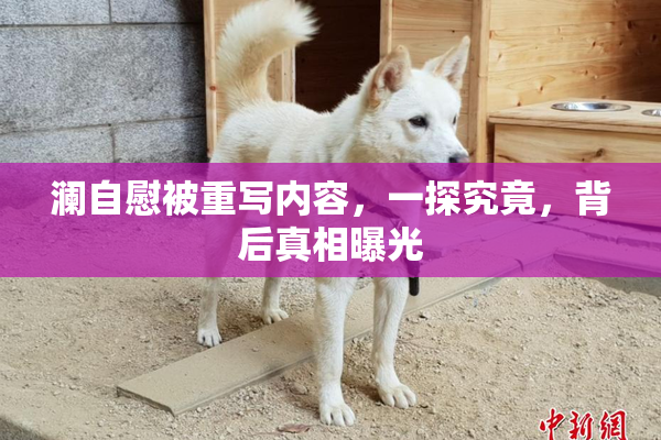 澜自慰被重写内容，一探究竟，背后真相曝光