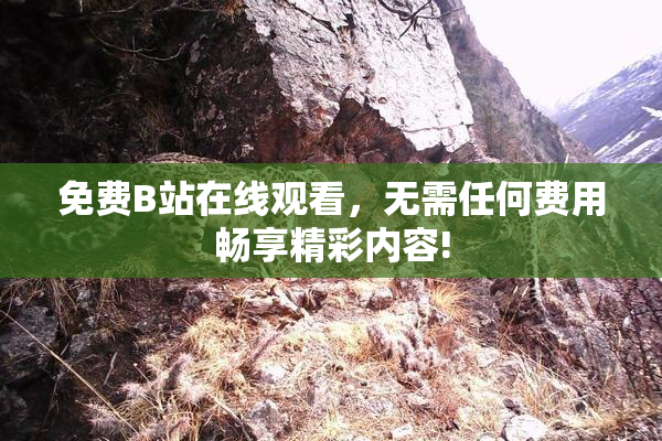 免费B站在线观看，无需任何费用畅享精彩内容!
