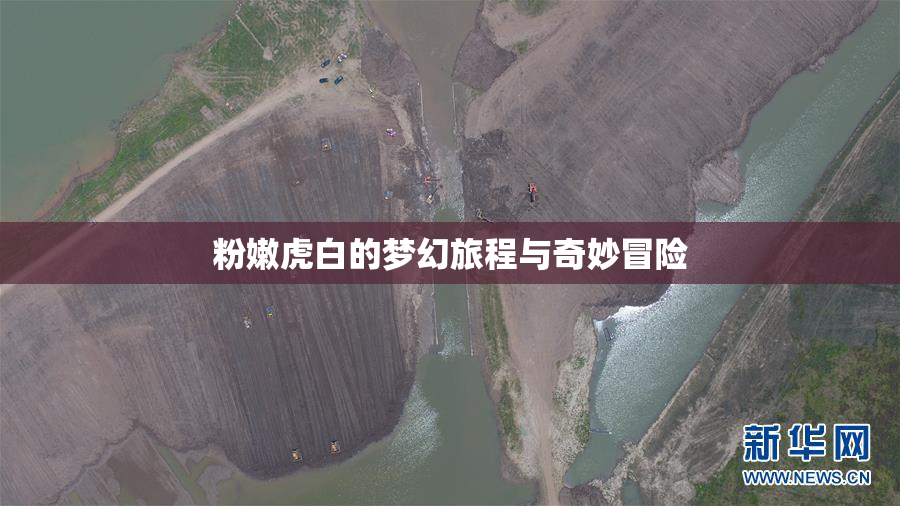 粉嫩虎白的梦幻旅程与奇妙冒险