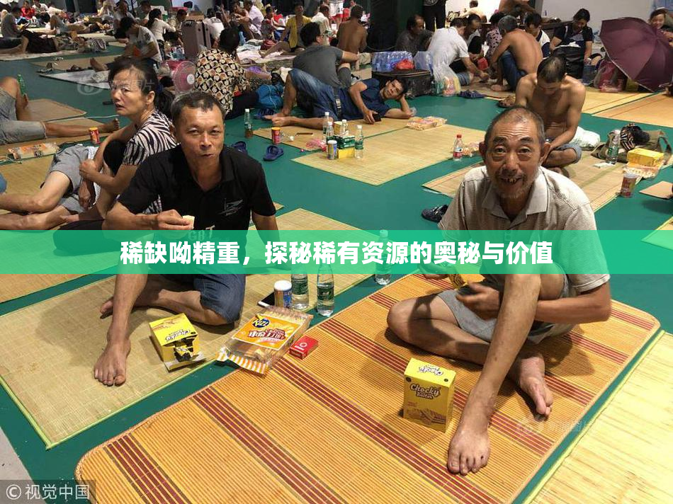 稀缺呦精重，探秘稀有资源的奥秘与价值