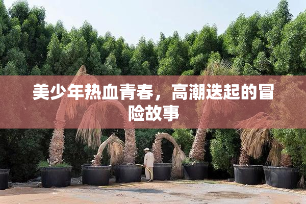 美少年热血青春，高潮迭起的冒险故事