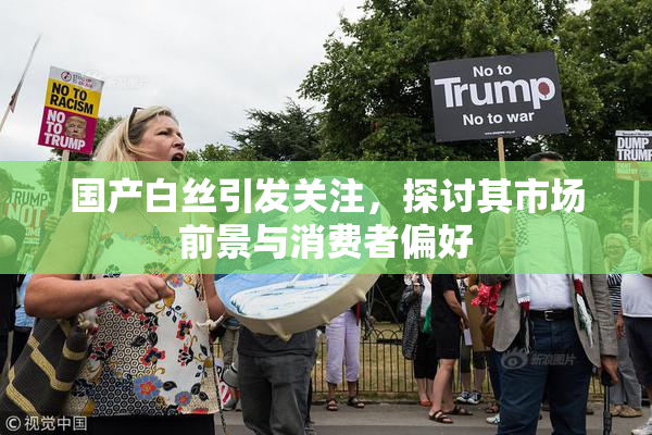 国产白丝引发关注，探讨其市场前景与消费者偏好