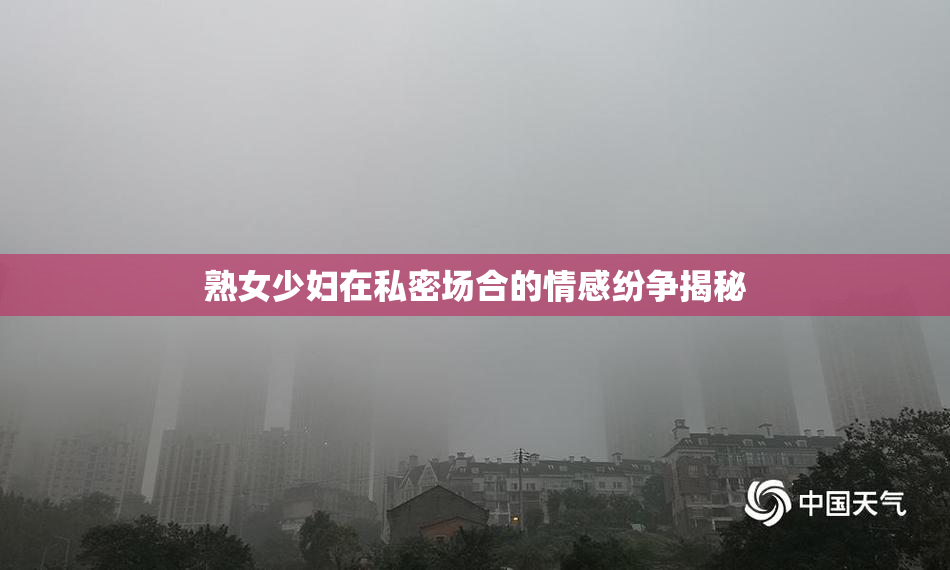 熟女少妇在私密场合的情感纷争揭秘
