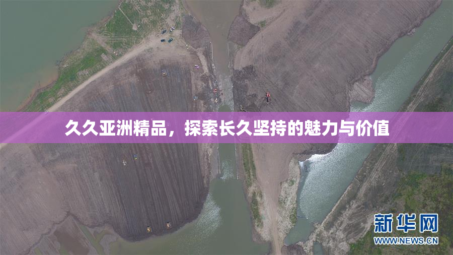 久久亚洲精品，探索长久坚持的魅力与价值