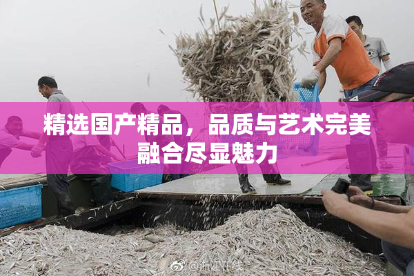 精选国产精品，品质与艺术完美融合尽显魅力