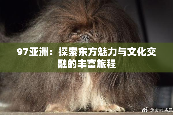 97亚洲：探索东方魅力与文化交融的丰富旅程