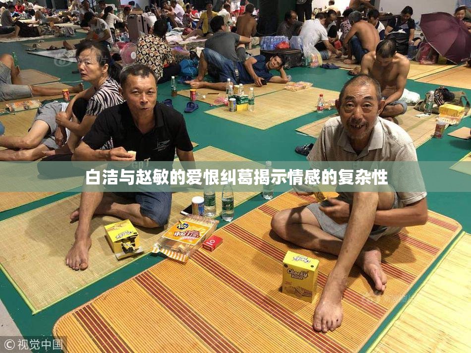 白洁与赵敏的爱恨纠葛揭示情感的复杂性