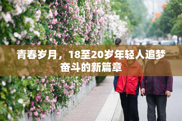 青春岁月，18至20岁年轻人追梦奋斗的新篇章