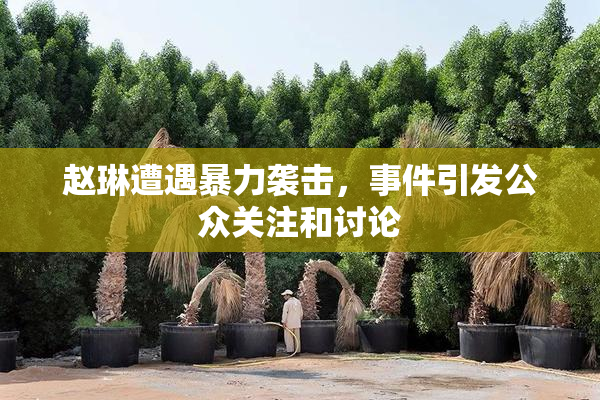 赵琳遭遇暴力袭击，事件引发公众关注和讨论