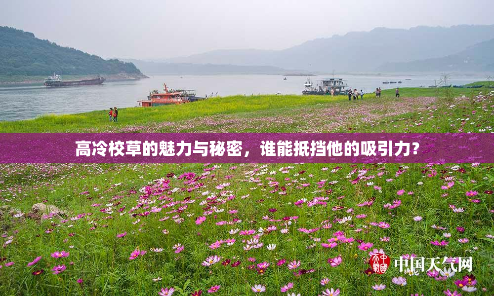 高冷校草的魅力与秘密，谁能抵挡他的吸引力？