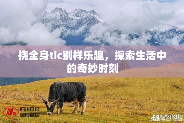 挠全身tic别样乐趣，探索生活中的奇妙时刻