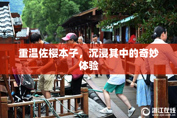 重温佐樱本子，沉浸其中的奇妙体验