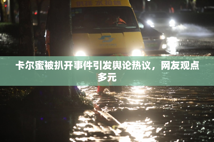 卡尔蜜被扒开事件引发舆论热议，网友观点多元