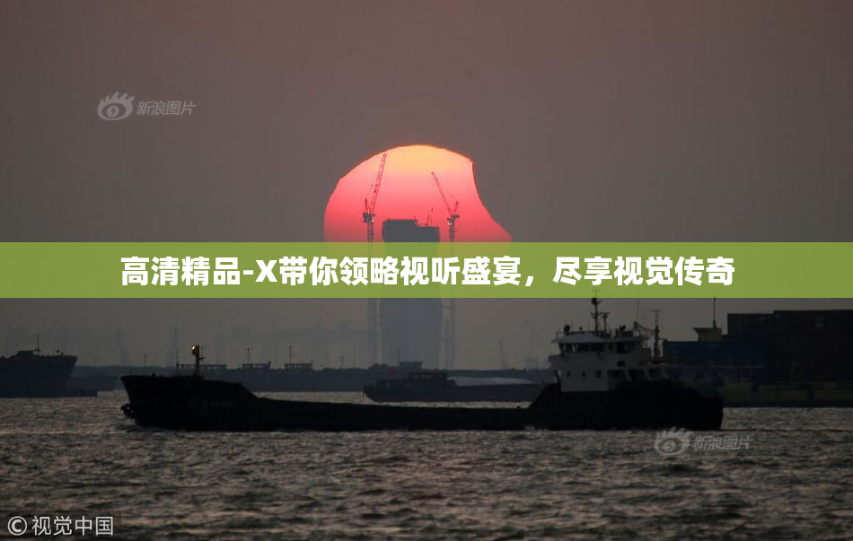 高清精品-X带你领略视听盛宴，尽享视觉传奇