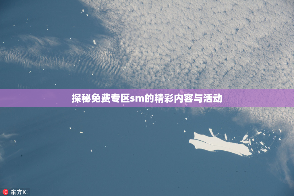 探秘免费专区sm的精彩内容与活动