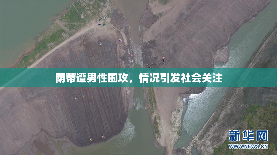 荫蒂遭男性围攻，情况引发社会关注