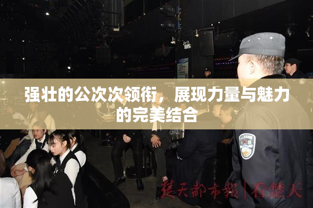 强壮的公次次领衔，展现力量与魅力的完美结合