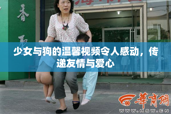 少女与狗的温馨视频令人感动，传递友情与爱心