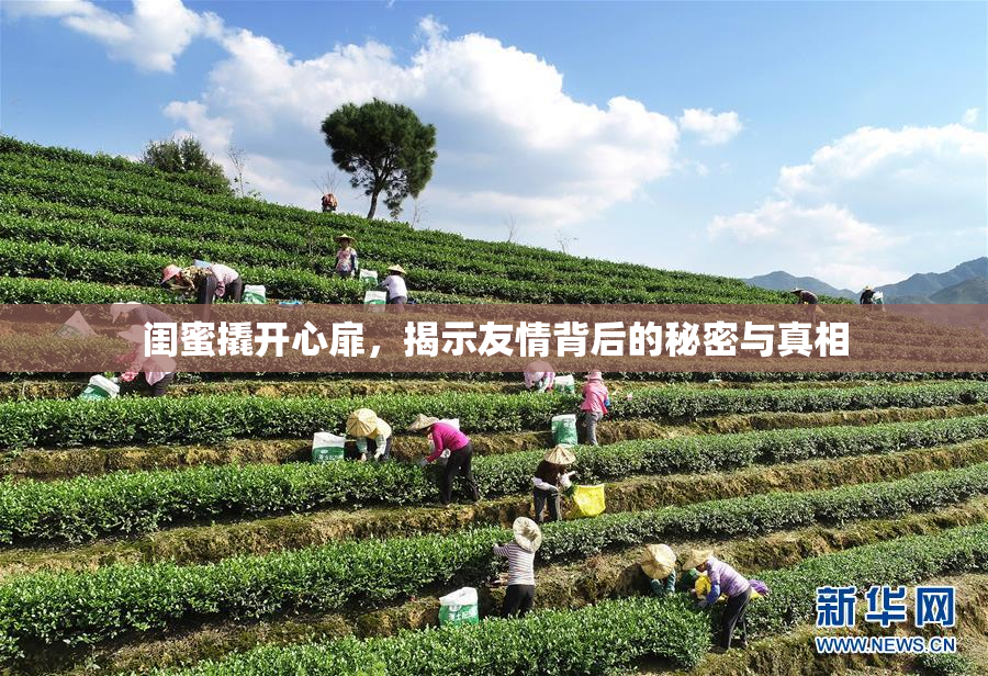 闺蜜撬开心扉，揭示友情背后的秘密与真相
