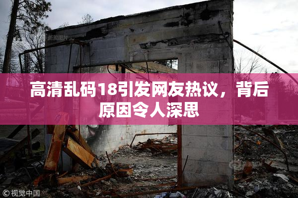高清乱码18引发网友热议，背后原因令人深思