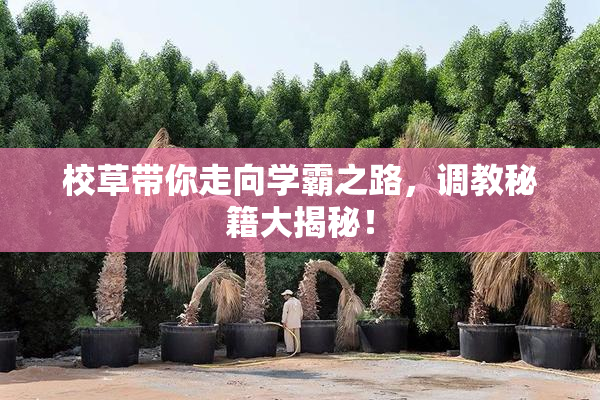 校草带你走向学霸之路，调教秘籍大揭秘！