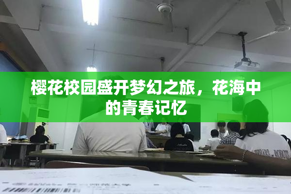 樱花校园盛开梦幻之旅，花海中的青春记忆