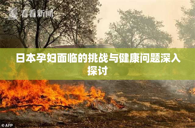 日本孕妇面临的挑战与健康问题深入探讨