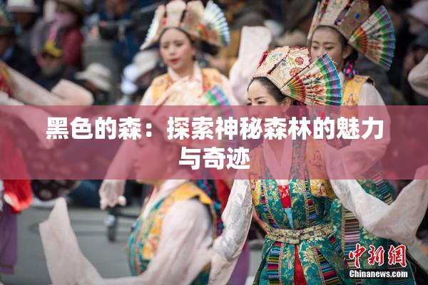 黑色的森：探索神秘森林的魅力与奇迹