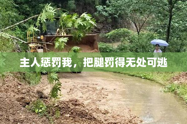 主人惩罚我，把腿罚得无处可逃