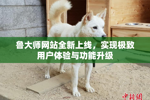 鲁大师网站全新上线，实现极致用户体验与功能升级