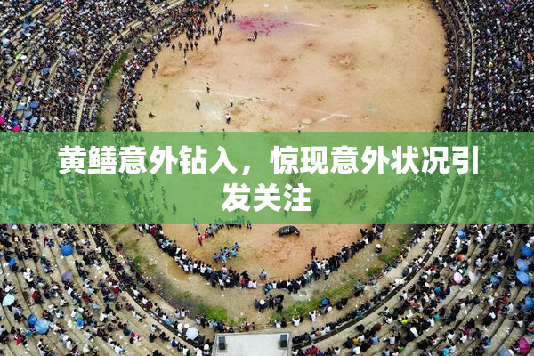 黄鳝意外钻入，惊现意外状况引发关注