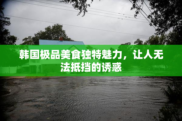 韩国极品美食独特魅力，让人无法抵挡的诱惑