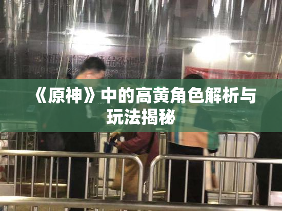 《原神》中的高黄角色解析与玩法揭秘
