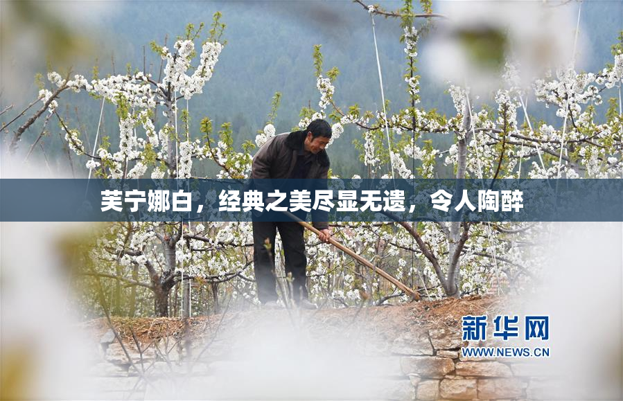 芙宁娜白，经典之美尽显无遗，令人陶醉