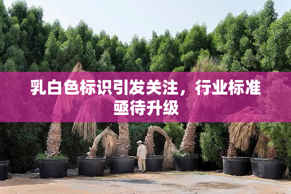 乳白色标识引发关注，行业标准亟待升级