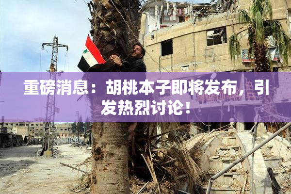 重磅消息：胡桃本子即将发布，引发热烈讨论！